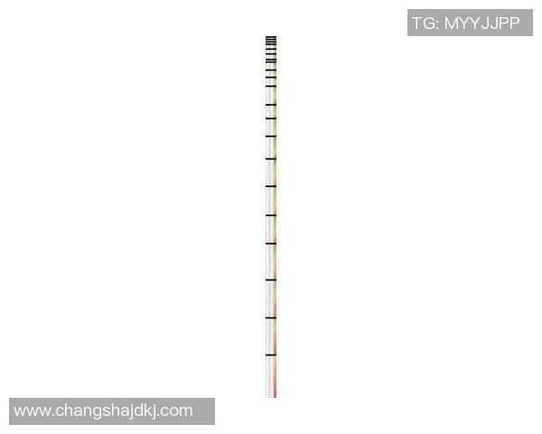 2025年全球足球球星身价排行榜分析与趋势解读